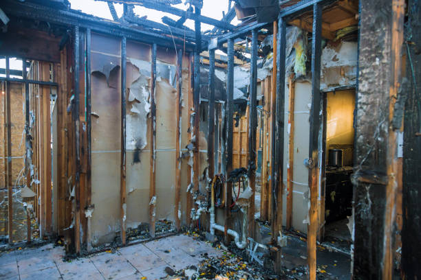 Professional Smoke Damage Removal technician working in Clive, IA